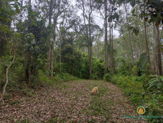 Imagem Terreno à Venda, 96.800 m² em Jardim Museu - Cotia Imagem Terreno à Venda, 96.800 m² em Jardim Museu - Cotia