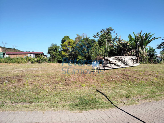 Imagem Terreno para Alugar, 1.091 m² em Dom Joaquim - Brusque Imagem Terreno para Alugar, 1.091 m² em Dom Joaquim - Brusque