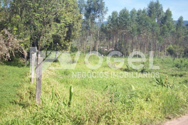 Imagem Imóvel à Venda, 5.000 m² em Três Pinheiros (distrito) - Itati Imagem Imóvel à Venda, 5.000 m² em Três Pinheiros (distrito) - Itati