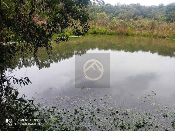 Imagem Chácara com 4 Quartos à Venda, 38.000 m² em Roça Velha - São José Dos Pinhais