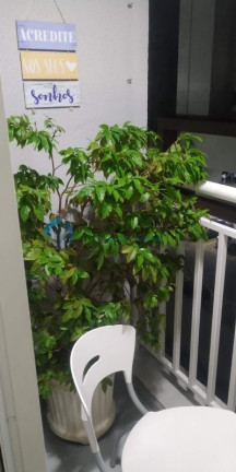 Imagem Apartamento com 2 Quartos à Venda, 60 m² em Jardim Iracema/aldeia - Barueri