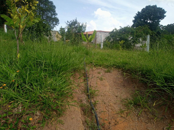 Imagem Chácara com 3 Quartos à Venda, 160 m² em Curitibanos - Bragança Paulista
