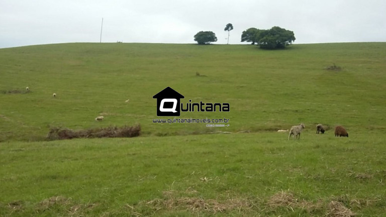 Imagem Imóvel com 2 Quartos à Venda, 8.000.000 m² em Centro - Santana Da Boa Vista