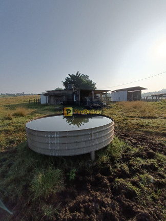 Imagem Imóvel com 2 Quartos à Venda, 181.500 m² em área Rural De Charqueada - Charqueada