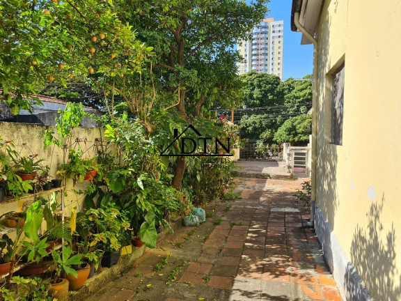 Imagem Casa com 2 Quartos à Venda, 400 m² em Vila Moreira - São Paulo
