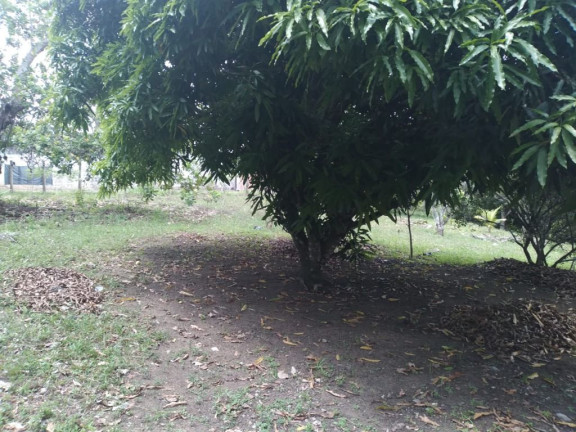 Imagem Terreno à Venda, 2.800 m² em Rural - Paudalho Imagem Terreno à Venda, 2.800 m² em Rural - Paudalho