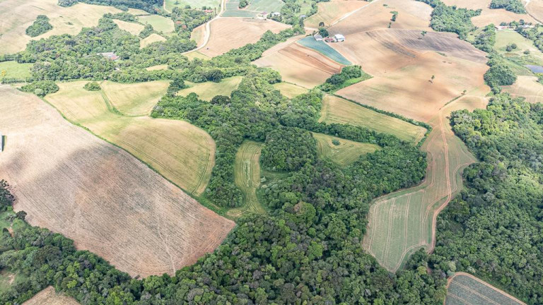 Imagem Terreno à Venda, 145.200 m² em Vila Dom Pedro Ii - Campo Largo