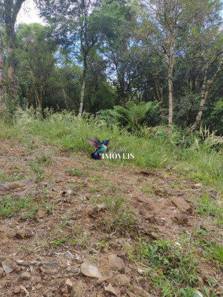 Imagem Terreno à Venda, 611 m² em Vila Do Cedro - Canela Imagem Terreno à Venda, 611 m² em Vila Do Cedro - Canela