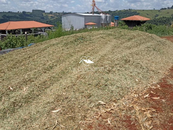Imagem Chácara à Venda, 9 m² em Mandaguari Imagem Chácara à Venda, 9 m² em Mandaguari