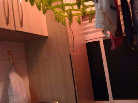 Imagem Apartamento com 2 Quartos à Venda, 52 m² em Parque Maria Domitila - São Paulo