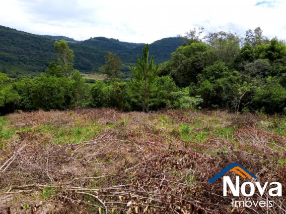 Imagem Imóvel à Venda, 120.000 m² em Linha Temerária - Nova Petrópolis Imagem Imóvel à Venda, 120.000 m² em Linha Temerária - Nova Petrópolis