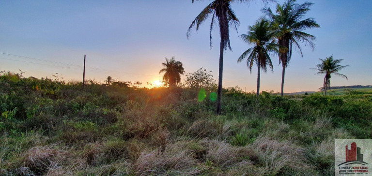 Imagem Terreno à Venda, 45.000 m² em Tiúma - Paudalho Imagem Terreno à Venda, 45.000 m² em Tiúma - Paudalho