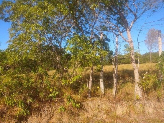 Imagem Terreno à Venda, em Ressacada - Garopaba Imagem Terreno à Venda, em Ressacada - Garopaba