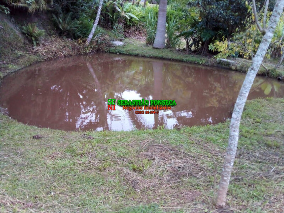 Imagem Chácara à Venda, 20.000 m² em São Silvestre (são Silvestre) - Jacareí Imagem Chácara à Venda, 20.000 m² em São Silvestre (são Silvestre) - Jacareí