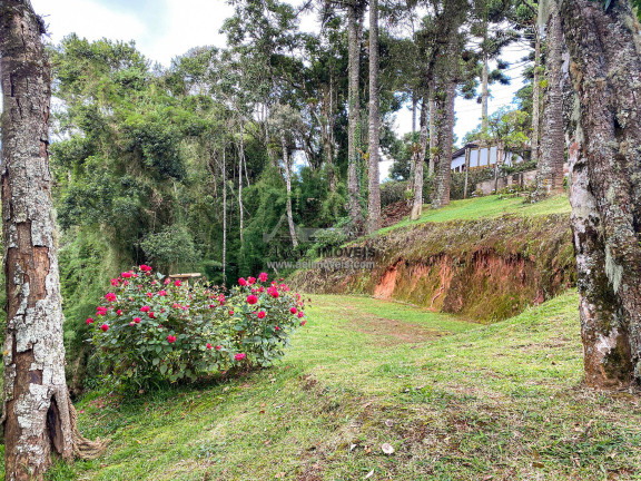 Imagem Terreno em Condomínio à Venda, 1 m² em Alto Do Vale Encantado - Campos Do Jordão Imagem Terreno em Condomínio à Venda, 1 m² em Alto Do Vale Encantado - Campos Do Jordão