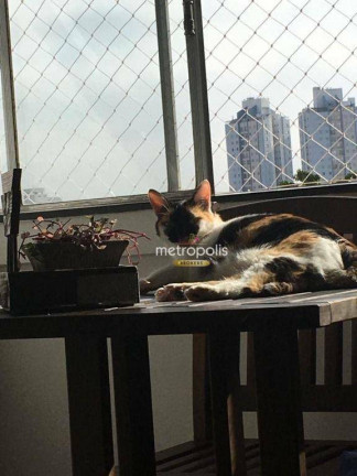 Imagem Apartamento com 2 Quartos à Venda, 76 m² em Cambuci - São Paulo