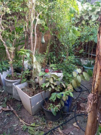 Imagem Casa com 3 Quartos à Venda, 150 m² em Jaguaré - São Paulo