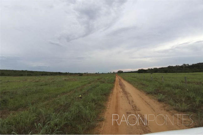 Imagem Fazenda à Venda, 18.420.000 m² em Zona Rural - Darcinópolis Imagem Fazenda à Venda, 18.420.000 m² em Zona Rural - Darcinópolis