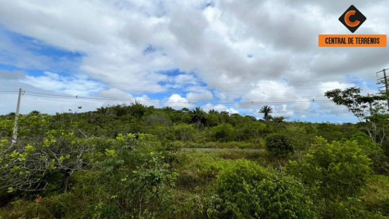 Imagem Terreno à Venda, 10.000 m² em Industrial - Camaçari Imagem Terreno à Venda, 10.000 m² em Industrial - Camaçari