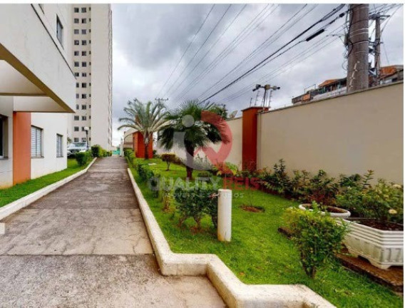 Imagem Apartamento com 2 Quartos à Venda, 52 m² em Vila Basileia - São Paulo Imagem Apartamento com 2 Quartos à Venda, 52 m² em Vila Basileia - São Paulo