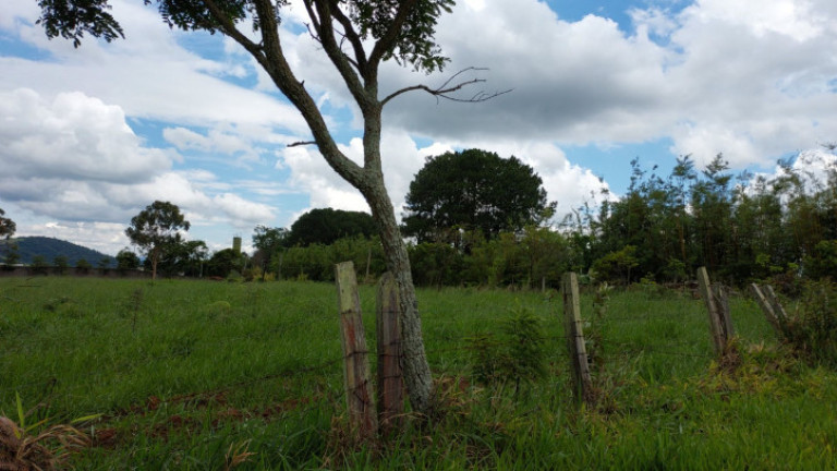 Imagem Terreno à Venda, 60.000 m² em Ressaca - Atibaia Imagem Terreno à Venda, 60.000 m² em Ressaca - Atibaia