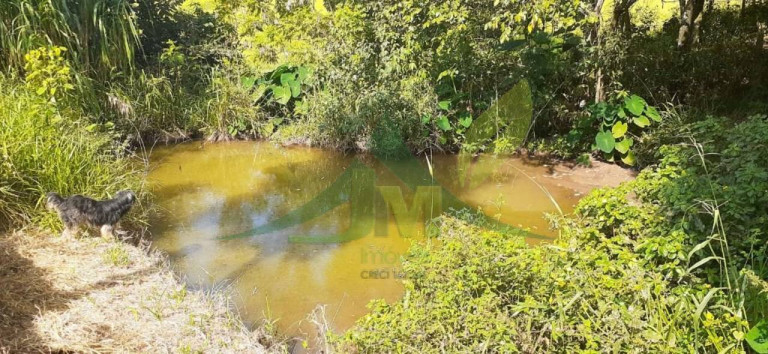 Imagem Chácara com 4 Quartos à Venda, 2.000 m² em Vila Mota - Bragança Paulista Imagem Chácara com 4 Quartos à Venda, 2.000 m² em Vila Mota - Bragança Paulista