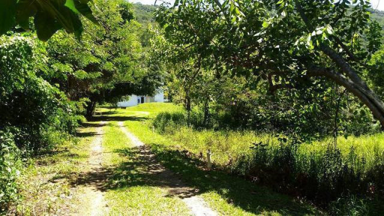 Terreno à Venda,  em Lagoa Da Conceição - Florianópolis