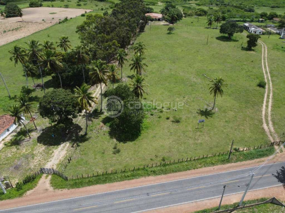 Imagem Fazenda à Venda, 300.000 m² em Lagoa Do Mato - Monte Alegre Imagem Fazenda à Venda, 300.000 m² em Lagoa Do Mato - Monte Alegre