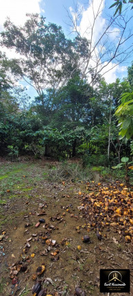 Imagem Fazenda à Venda, 8 m² em Zona Rural - Ubaitaba Imagem Fazenda à Venda, 8 m² em Zona Rural - Ubaitaba