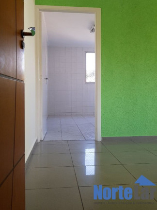 Imagem Apartamento com 2 Quartos para Alugar, 48 m² em Vila Amália (zona Norte) - São Paulo Imagem Apartamento com 2 Quartos para Alugar, 48 m² em Vila Amália (zona Norte) - São Paulo