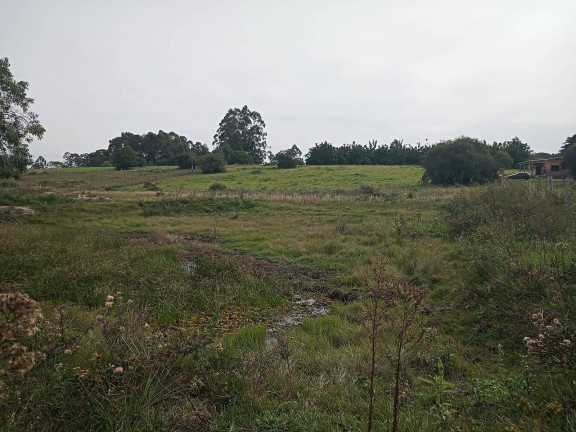 Imagem Chácara à Venda, 10.000 m² em águas Claras - Viamão Imagem Chácara à Venda, 10.000 m² em águas Claras - Viamão