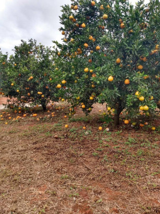 Imagem Chácara com 3 Quartos à Venda, 1 m² em Serra Azul - Mateus Leme