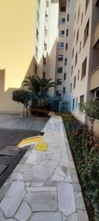 Imagem Apartamento com 3 Quartos à Venda, 65 m² em Iguatemi - Ribeirão Preto Imagem Apartamento com 3 Quartos à Venda, 65 m² em Iguatemi - Ribeirão Preto