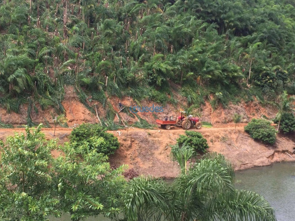 Imóvel com 4 Quartos à Venda, 363.000 m² em Juquiá - Juquiá
