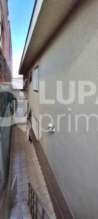Imagem Casa com 3 Quartos à Venda, 141 m² em Jardim Guanca - São Paulo