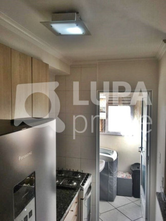 Imagem Apartamento com 2 Quartos à Venda, 53 m² em Vila Gustavo - São Paulo Imagem Apartamento com 2 Quartos à Venda, 53 m² em Vila Gustavo - São Paulo