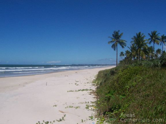 Imagem Chácara à Venda, 400.000 m² em Aritaguá - Ilhéus Imagem Chácara à Venda, 400.000 m² em Aritaguá - Ilhéus