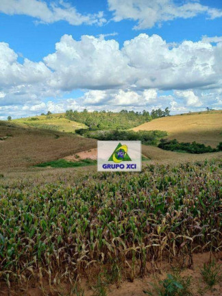 Imagem Fazenda à Venda, 2.560.000 m² em Zona Rural - São Tiago Imagem Fazenda à Venda, 2.560.000 m² em Zona Rural - São Tiago