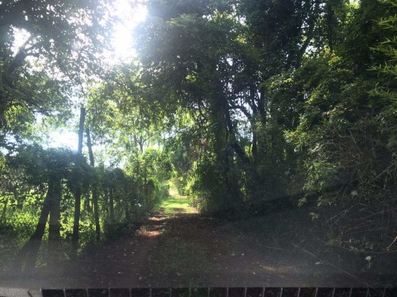Imagem Fazenda à Venda, 60.000 m² em Cachoeira De Emas - Pirassununga Imagem Fazenda à Venda, 60.000 m² em Cachoeira De Emas - Pirassununga