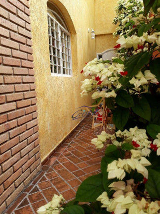 Imagem Casa com 4 Quartos à Venda, 170 m² em Butantã - São Paulo