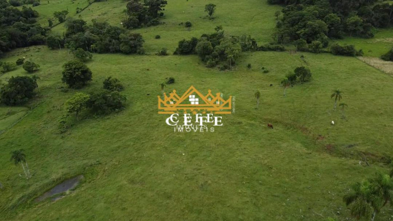 Imagem Imóvel à Venda, 20 m² em Zona Rural - Igrejinha Imagem Imóvel à Venda, 20 m² em Zona Rural - Igrejinha
