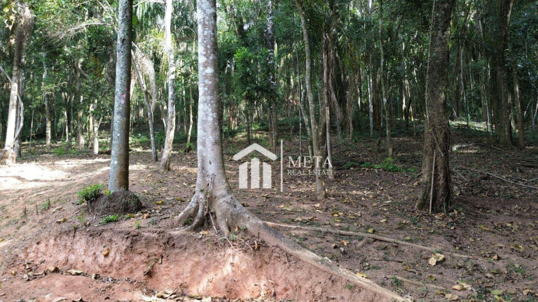 Imagem Imóvel com 4 Quartos à Venda, 417 m² em Serra Da Cantareira - Mairiporã Imagem Imóvel com 4 Quartos à Venda, 417 m² em Serra Da Cantareira - Mairiporã