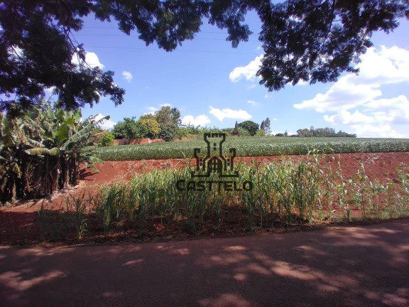 Imagem Fazenda à Venda, 121.000 m² em Coroados - Londrina Imagem Fazenda à Venda, 121.000 m² em Coroados - Londrina
