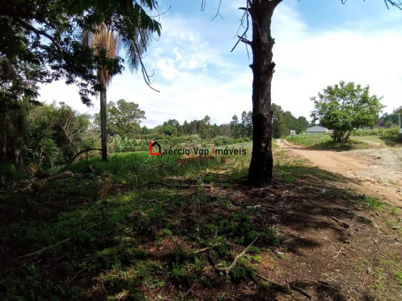 Imagem Imóvel com 2 Quartos à Venda, 133.100 m² em Ibiúna - Ibiúna