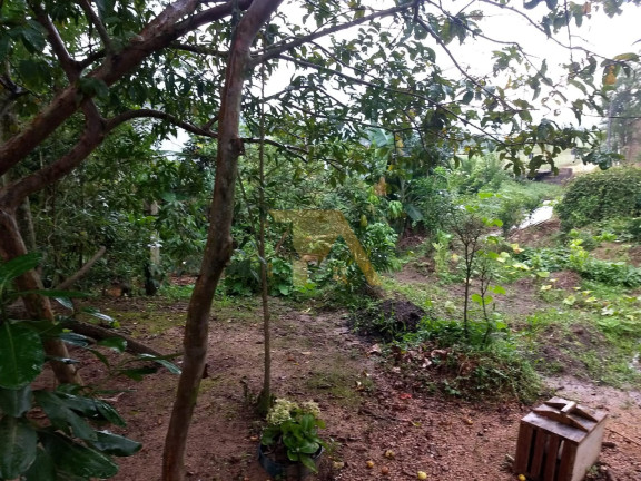 Imagem Fazenda à Venda, 174 m² em Aratingauba - Imaruí Imagem Fazenda à Venda, 174 m² em Aratingauba - Imaruí