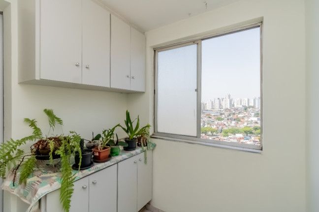 Imagem Apartamento com 2 Quartos à Venda, 68 m² em Jardim Da Saúde - São Paulo