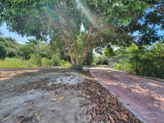 Imagem Terreno à Venda, 1.000 m² em Busca Vida - Camaçari Imagem Terreno à Venda, 1.000 m² em Busca Vida - Camaçari