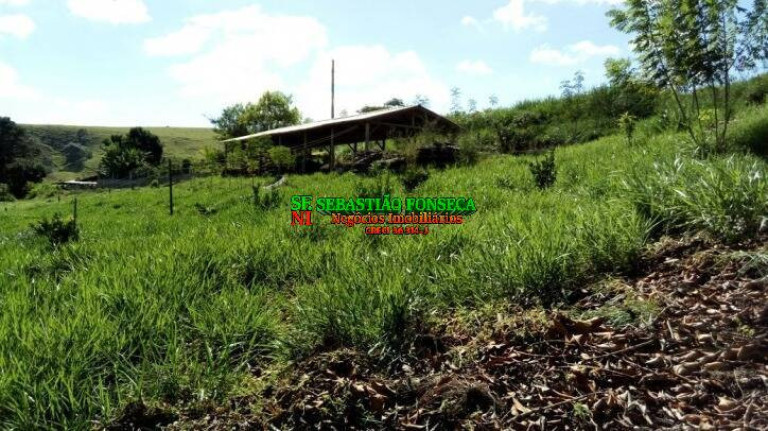 Imagem Chácara com 3 Quartos à Venda, 5.000 m² em Centro - Paraibuna Imagem Chácara com 3 Quartos à Venda, 5.000 m² em Centro - Paraibuna
