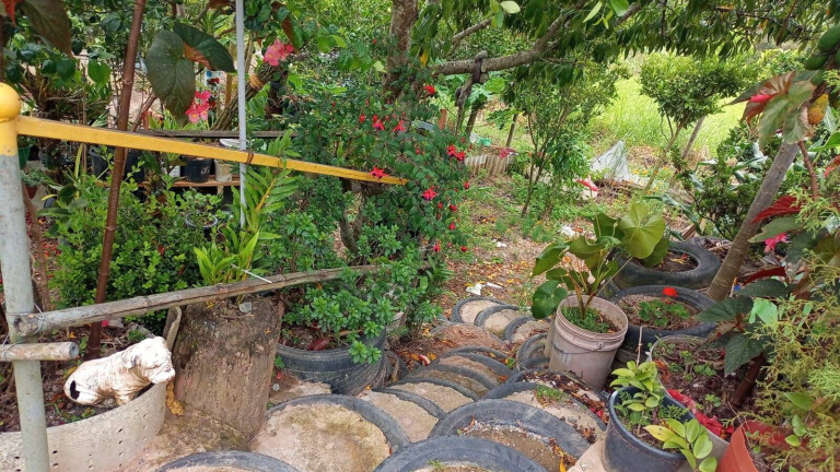 Imagem Chácara com 1 Quarto à Venda, 3 m² em Bairro Do Funíl - Piedade Imagem Chácara com 1 Quarto à Venda, 3 m² em Bairro Do Funíl - Piedade