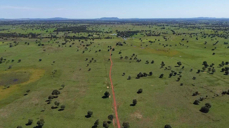 Imagem Fazenda à Venda, 242 m² em Zona Rural - Araguapaz Imagem Fazenda à Venda, 242 m² em Zona Rural - Araguapaz